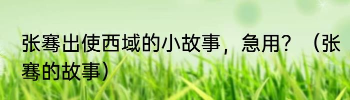 张骞出使西域的小故事，急用？（张骞的故事）