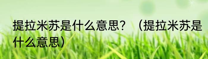 提拉米苏是什么意思？（提拉米苏是什么意思）