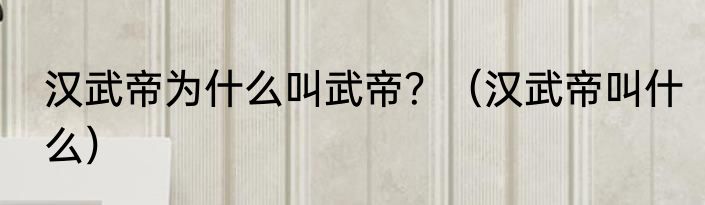 汉武帝为什么叫武帝？（汉武帝叫什么）