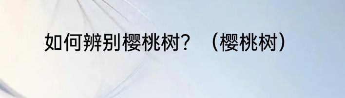 如何辨别樱桃树？（樱桃树）