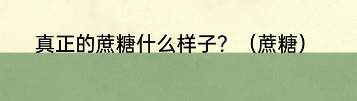 真正的蔗糖什么样子？（蔗糖）