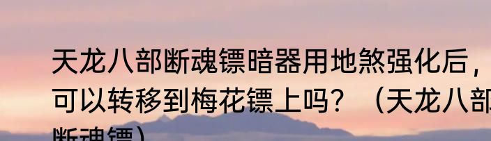 天龙八部断魂镖暗器用地煞强化后，可以转移到梅花镖上吗？（天龙八部断魂镖）
