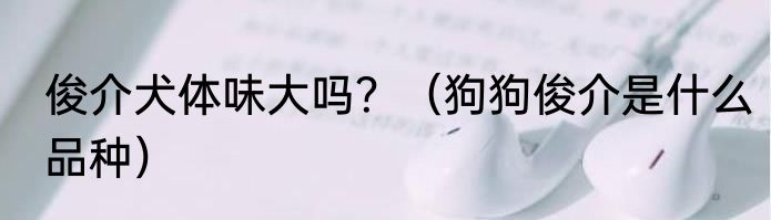 俊介犬体味大吗？（狗狗俊介是什么品种）