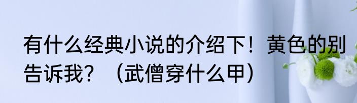 有什么经典小说的介绍下！黄色的别告诉我？（武僧穿什么甲）