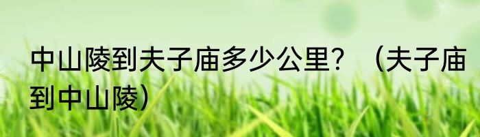 中山陵到夫子庙多少公里？（夫子庙到中山陵）