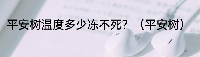 平安树温度多少冻不死？（平安树）