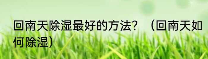 回南天除湿最好的方法？（回南天如何除湿）