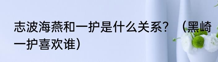 志波海燕和一护是什么关系？（黑崎一护喜欢谁）