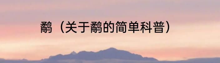 鹬（关于鹬的简单科普）