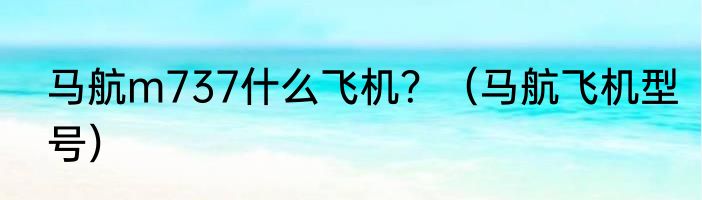 马航m737什么飞机？（马航飞机型号）