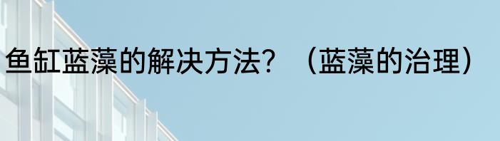 鱼缸蓝藻的解决方法？（蓝藻的治理）