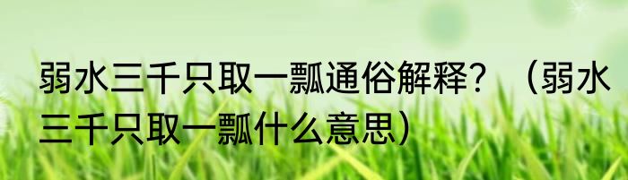 弱水三千只取一瓢通俗解释？（弱水三千只取一瓢什么意思）