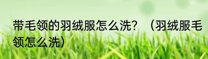 带毛领的羽绒服怎么洗？（羽绒服毛领怎么洗）