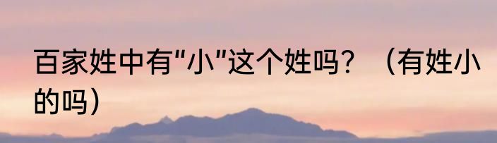 百家姓中有“小”这个姓吗？（有姓小的吗）