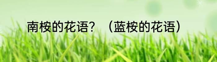 南桉的花语？（蓝桉的花语）