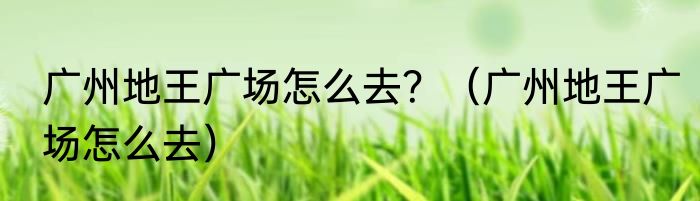 广州地王广场怎么去？（广州地王广场怎么去）