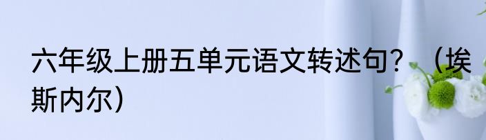 六年级上册五单元语文转述句？（埃斯内尔）