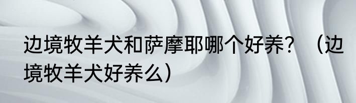 边境牧羊犬和萨摩耶哪个好养？（边境牧羊犬好养么）