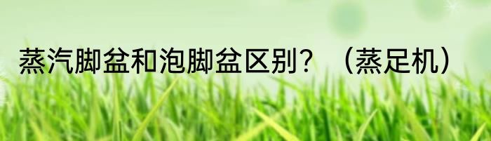 蒸汽脚盆和泡脚盆区别？（蒸足机）