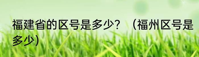 福建省的区号是多少？（福州区号是多少）