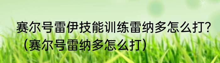 赛尔号雷伊技能训练雷纳多怎么打？（赛尔号雷纳多怎么打）