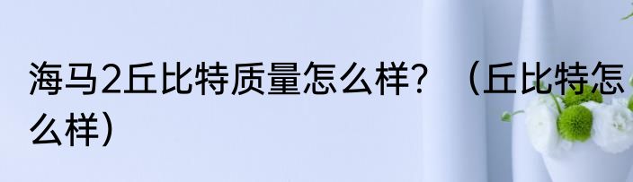 海马2丘比特质量怎么样？（丘比特怎么样）