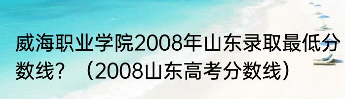威海职业学院2008年山东录取最低分数线？（2008山东高考分数线）