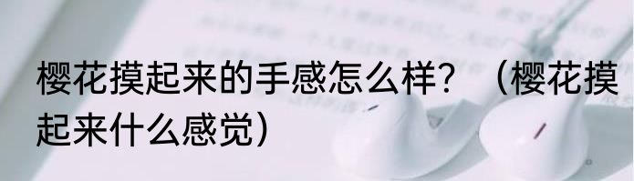 樱花摸起来的手感怎么样？（樱花摸起来什么感觉）