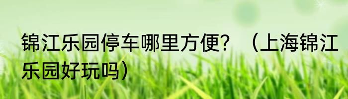 锦江乐园停车哪里方便？（上海锦江乐园好玩吗）