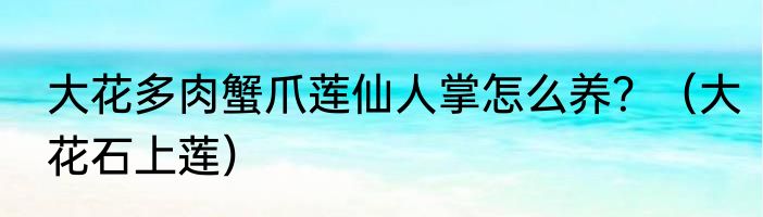 大花多肉蟹爪莲仙人掌怎么养？（大花石上莲）