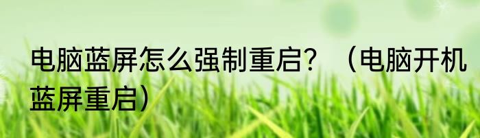 电脑蓝屏怎么强制重启？（电脑开机蓝屏重启）