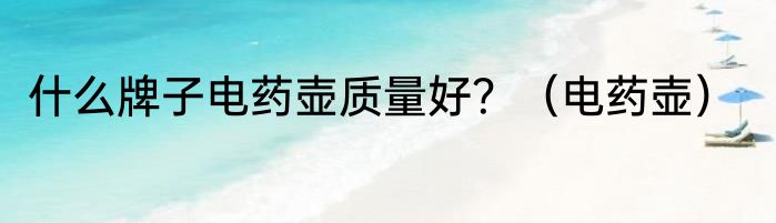 什么牌子电药壶质量好？（电药壶）