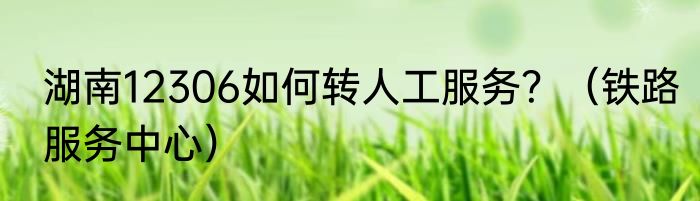 湖南12306如何转人工服务？（铁路服务中心）