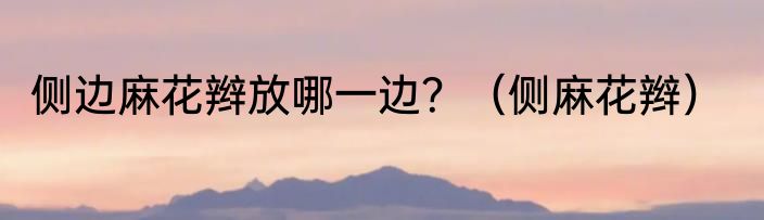 侧边麻花辫放哪一边？（侧麻花辫）