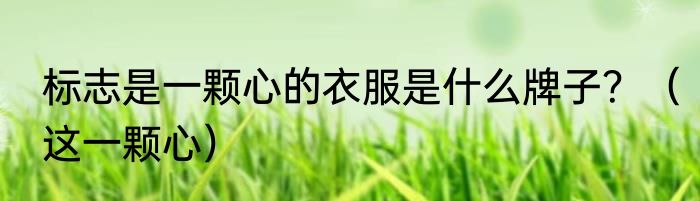 标志是一颗心的衣服是什么牌子？（这一颗心）