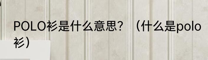 POLO衫是什么意思？（什么是polo衫）