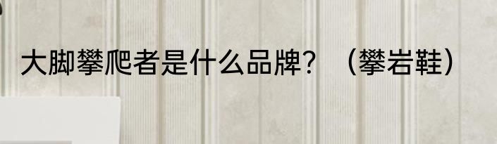 大脚攀爬者是什么品牌？（攀岩鞋）