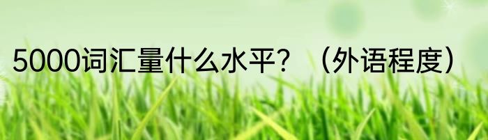 5000词汇量什么水平？（外语程度）