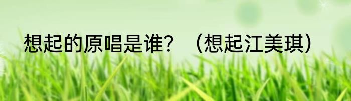 想起的原唱是谁？（想起江美琪）