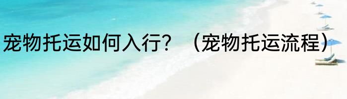 宠物托运如何入行？（宠物托运流程）