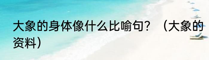 大象的身体像什么比喻句？（大象的资料）