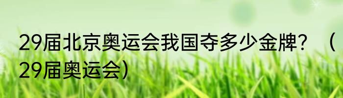 29届北京奥运会我国夺多少金牌？（29届奥运会）