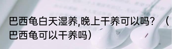 巴西龟白天湿养,晚上干养可以吗?(巴西龟可以干养吗)