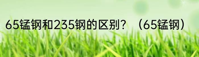 65锰钢和235钢的区别？（65锰钢）