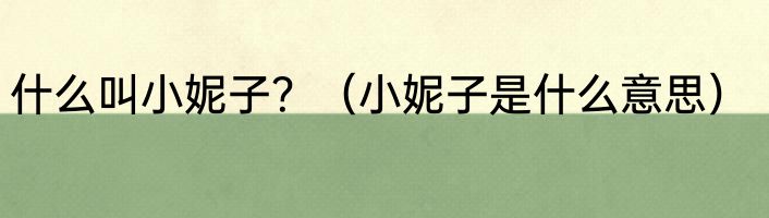 什么叫小妮子？（小妮子是什么意思）