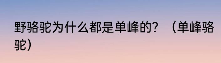 野骆驼为什么都是单峰的？（单峰骆驼）