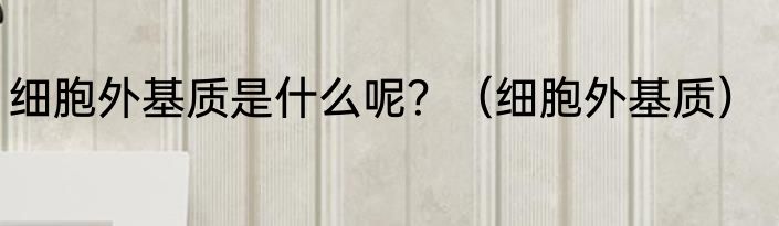 细胞外基质是什么呢？（细胞外基质）