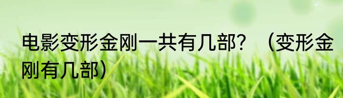 电影变形金刚一共有几部？（变形金刚有几部）