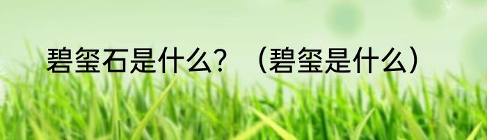 碧玺石是什么？（碧玺是什么）