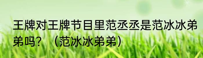 王牌对王牌节目里范丞丞是范冰冰弟弟吗？（范冰冰弟弟）